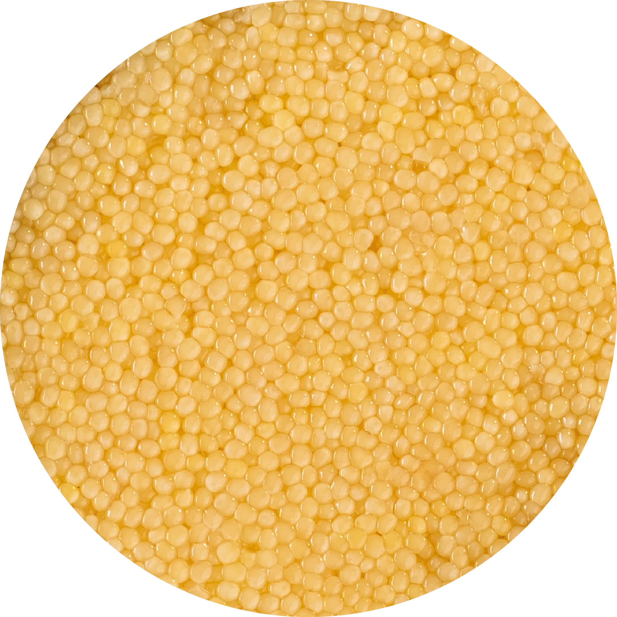 Золота ікра <br>  осетра альбіноса