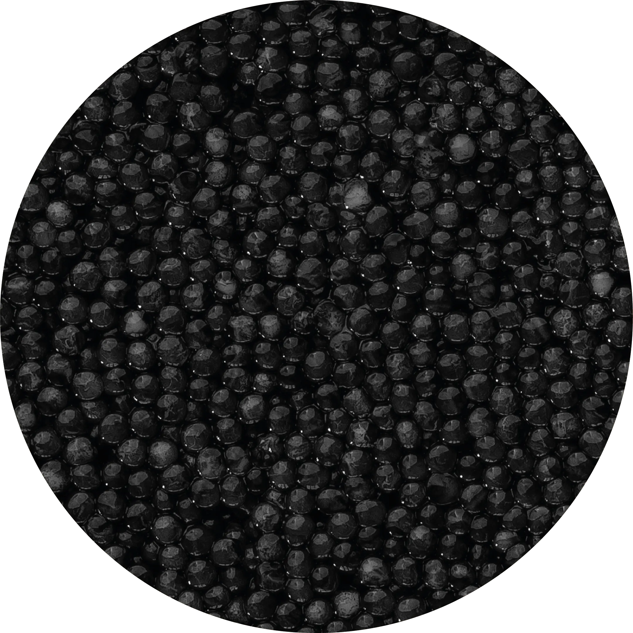 Чорна ікра <br>  Бестера