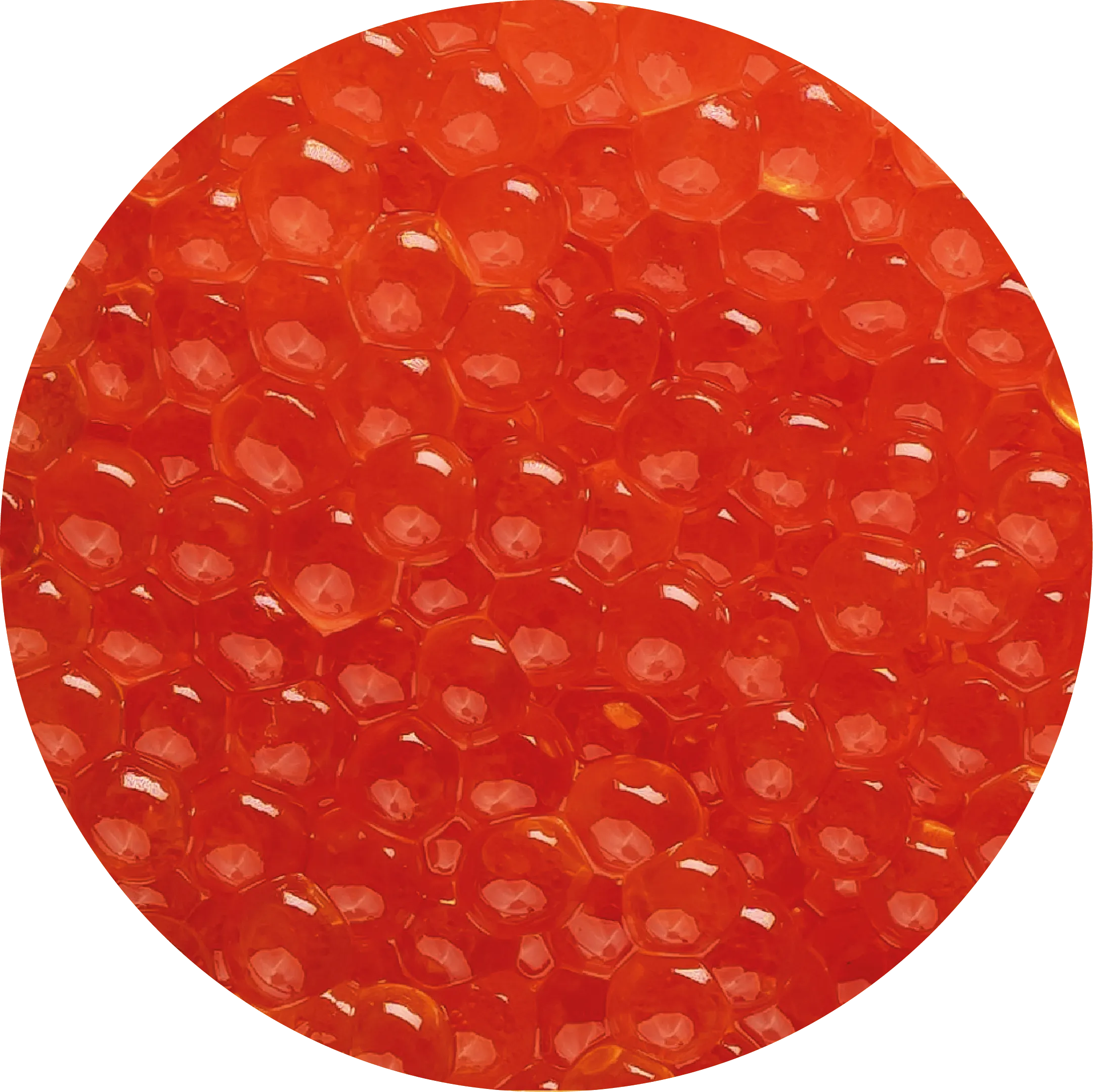 Червона ікра <br>  форелі