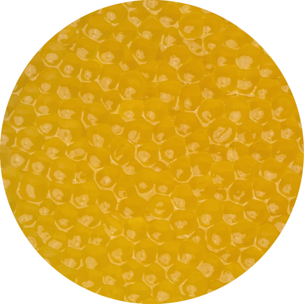 Ікра <br>  гольця арктичного