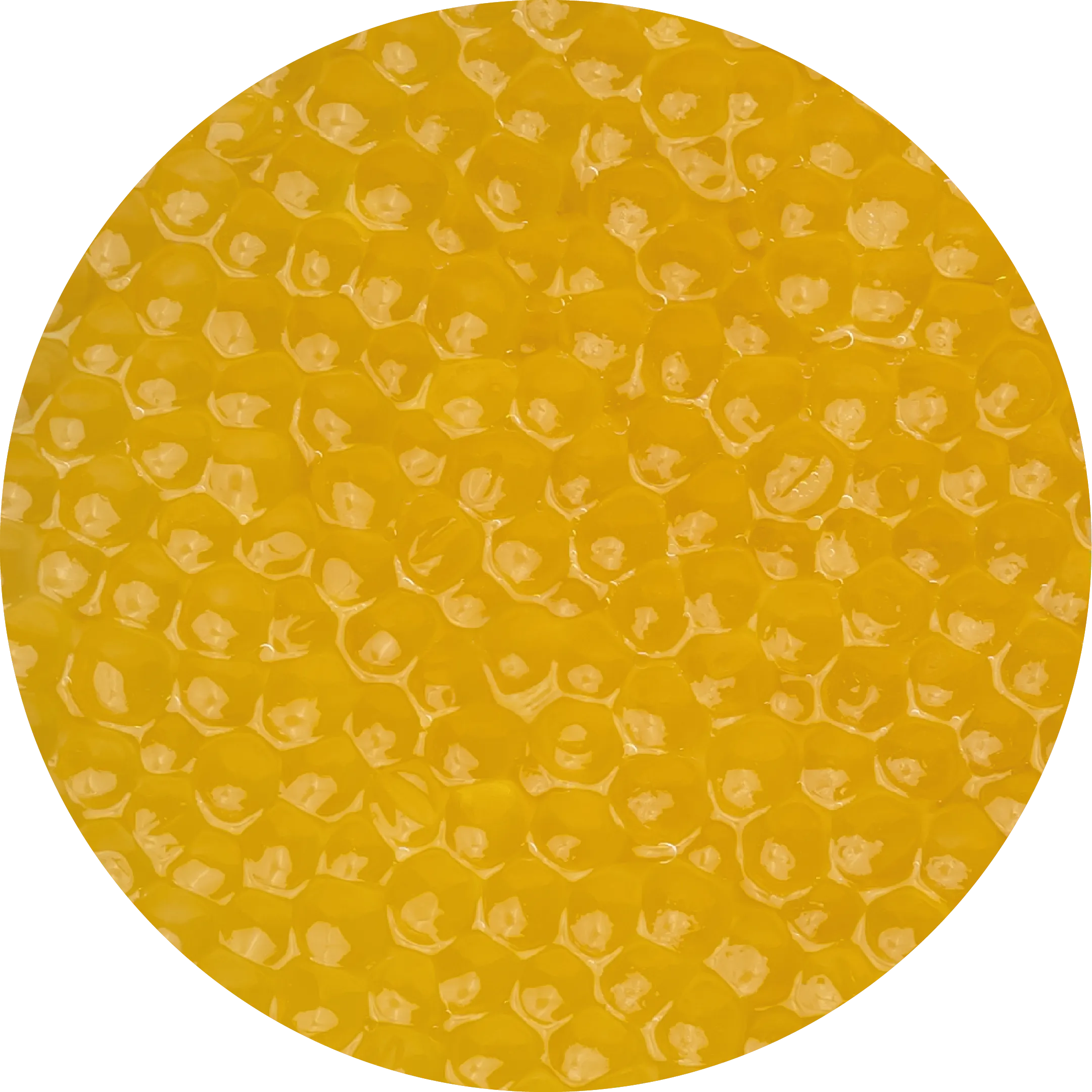 Ікра <br>  гольця арктичного