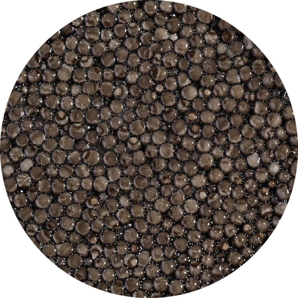 Чорна ікра <br> Осетра