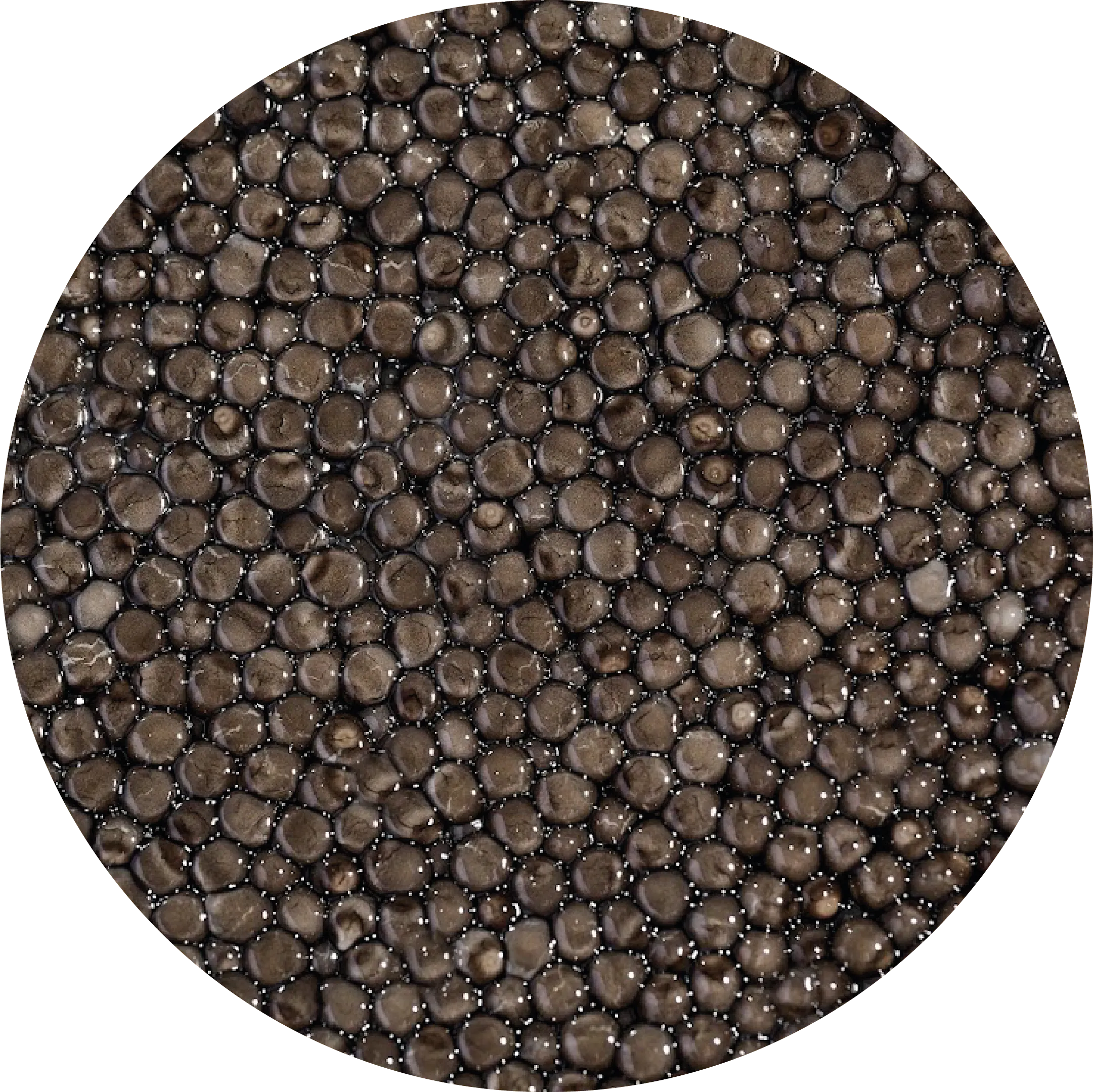 Чорна ікра <br> Осетра